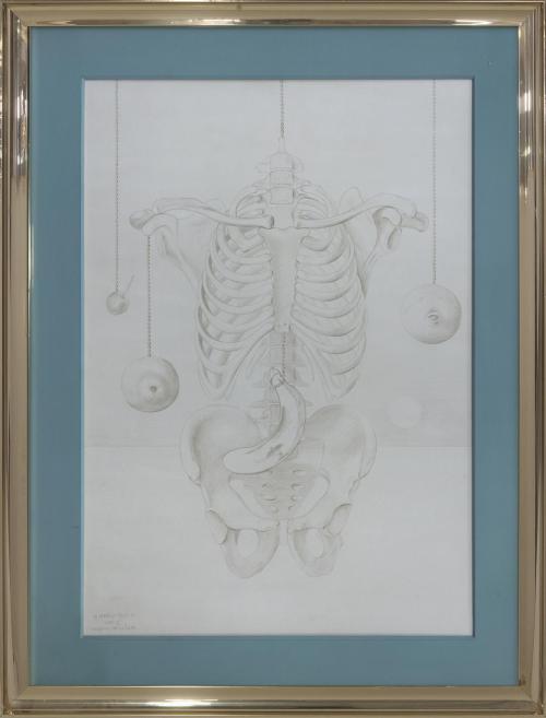 "ESQUELETOS Y FRUTAS", 1971