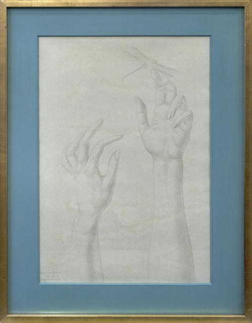 "MANOS Y LIBÉLULAS", 1972