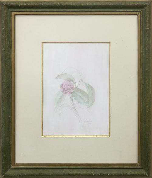 "ROSA", 1968