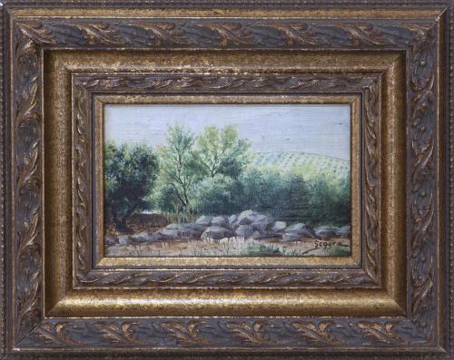 "VISTA DE CAMPO"
