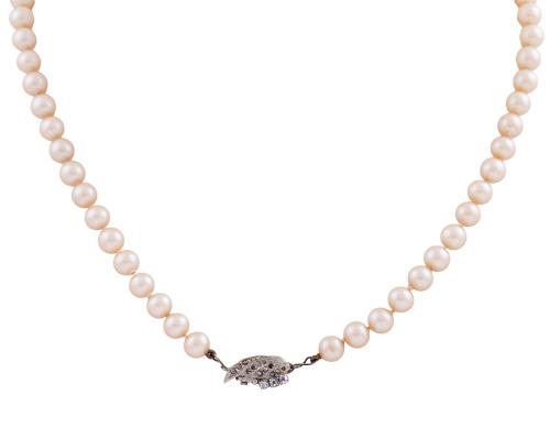 Collar
