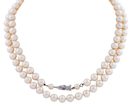 Collar