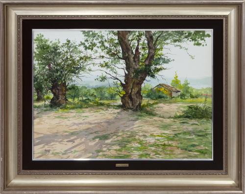 VISTA DE PAISAJE (S.XX)