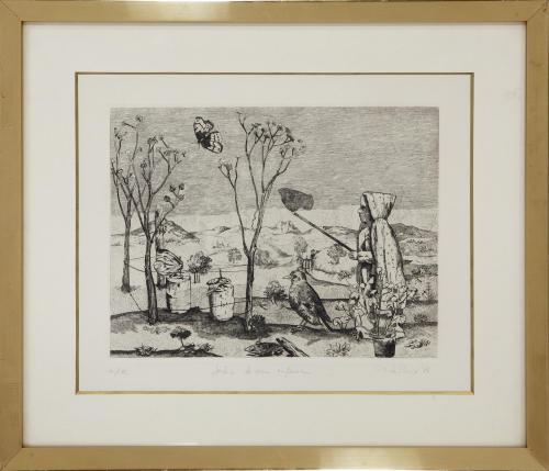 "CAZA DE LA MARIPOSA"