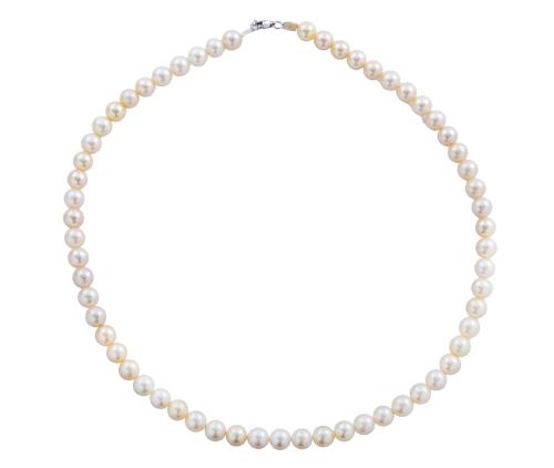 Collar