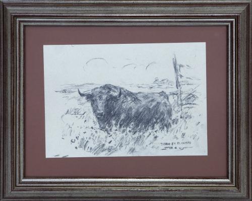 "TORO EN EL CAMPO"