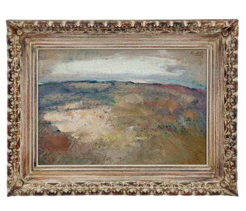 PAISAJE "DE GUADALAJARA"