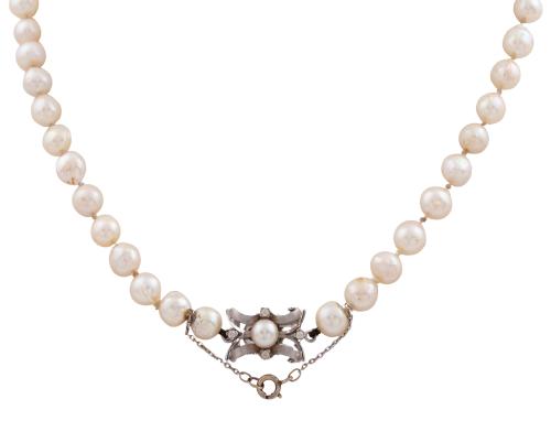 Collar
