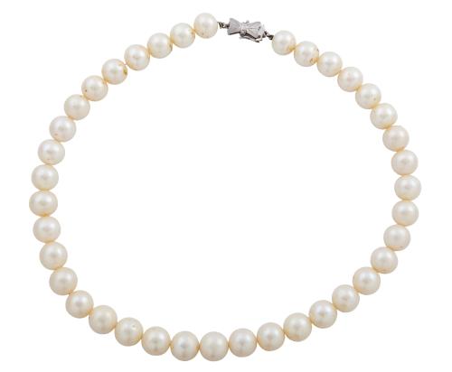 Collar
