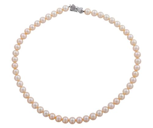 Collar