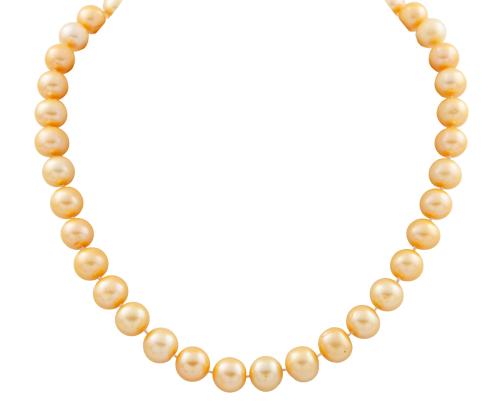 Collar