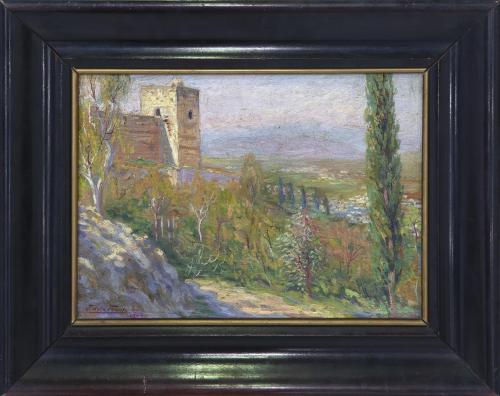 "VISTA DE UN PAISAJE MALAGUEÑO"